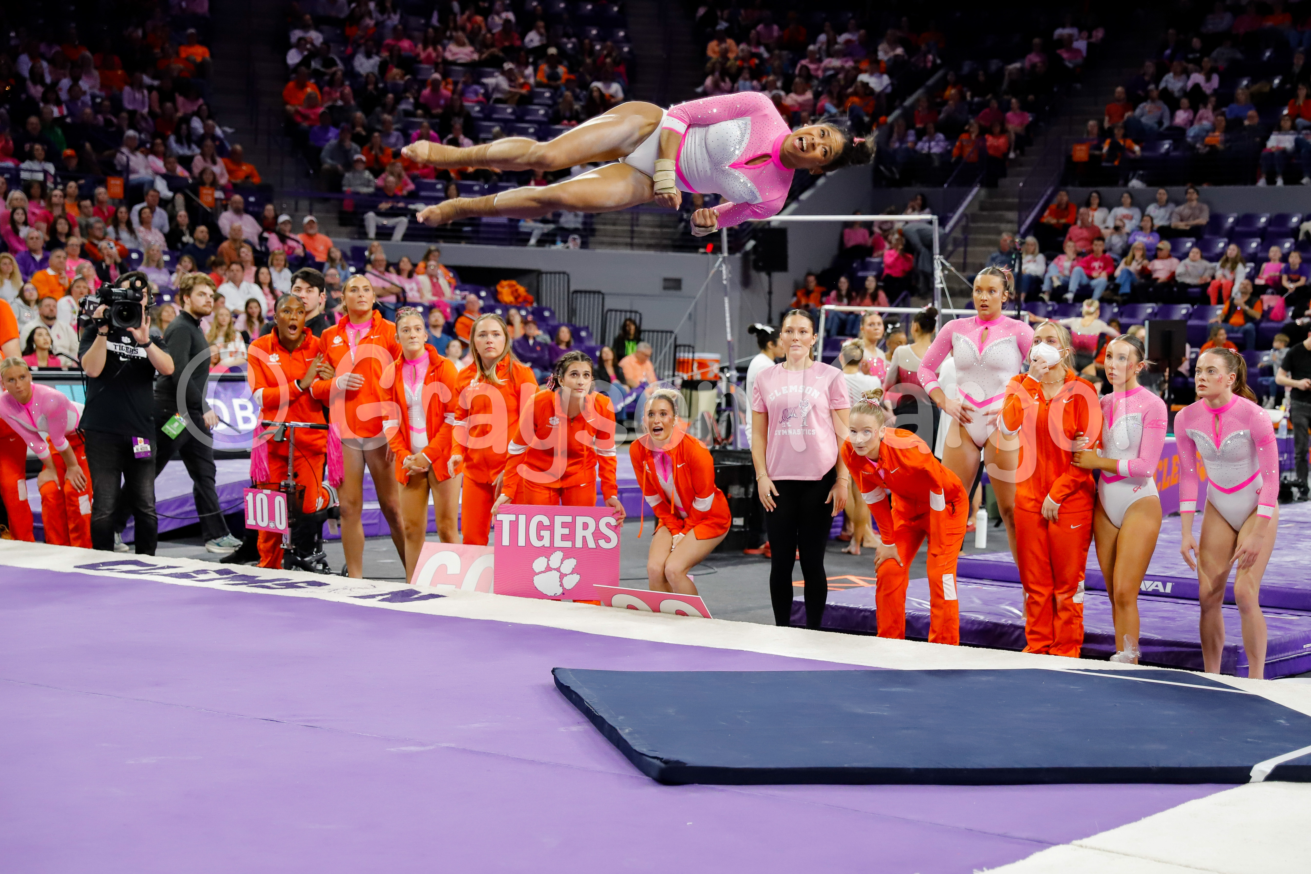Clemson Gymnastics vs NC State on 2/14/25